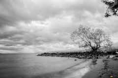 sans titre-1461