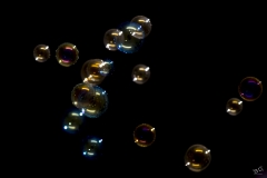 Fragile_BD-7