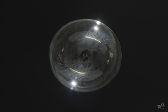 Fragile_BD-8