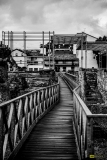 BenGail1