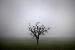 - Alain Jaquier