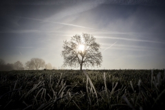 - Alain Jaquier