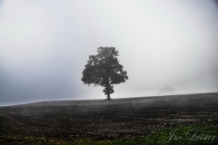 - Jean-Michel Luisier