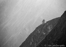 - Sébastien Martinet
