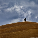 - Sébastien Martinet