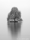 - Sébastien Martinet