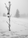 BD-Brouillard-1