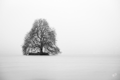 BD-Brouillard-2