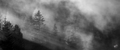 BD-Brouillard-3