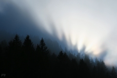 Brouillard-JOG-1