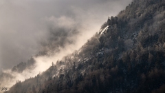 Brouillard-JOG-2