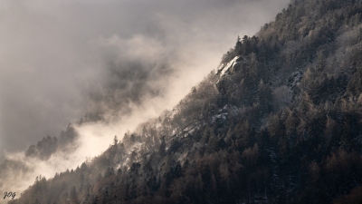 Thème Brouillard