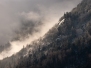Thème Brouillard