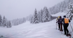Brouillard-JOG-3