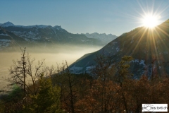 MT-Brouillard-1