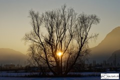 MT-Brouillard-3