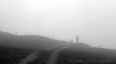 SEMA_Brouillard_2