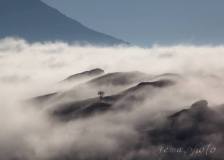 SEMA_Brouillard_3