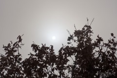 Marc_contre-jour4