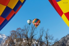 Mongolfieres_GrangeAV-1