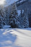 Sylvie_contre-jour-1