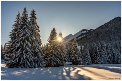 contre-jour_Laurent-1