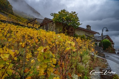 couleurs d'automne à Plan-Cerisier