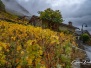 couleurs d'automne à Plan-Cerisier