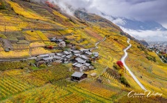 20251025-Christian04