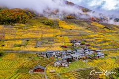 20251025-Christian05