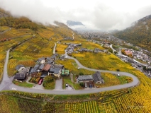 Stephane_couleurs-dautomne-1