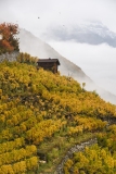 Stephane_couleurs-dautomne-5