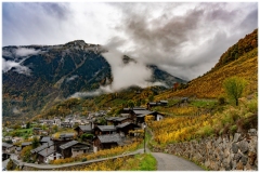 couleurs-dautomne-Plan-Cerisier-2025_Laurent-6