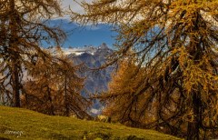 Erwin_Col-du-Lein-2