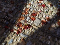 Romaine_Automne-3