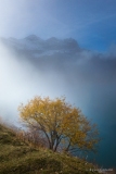 Tintin_Automne-4
