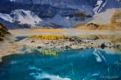 Tintin_Automne-5