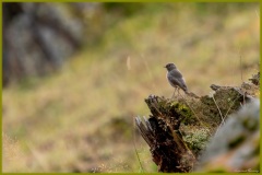 laurent_Col-du-Lein-en-Automne-5