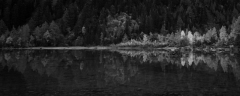 Jog_Derborence-4