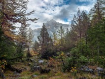 Jog_Derborence-6