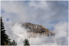 Laurent_Derborence-4