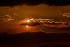 Erwin_eclipse-2026