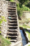 escgeor (1)