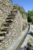 escgeor (2)