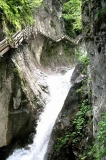 escgeor (5)