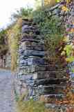 escmich (3)