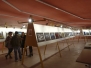 Expo 2015
