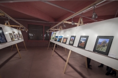 Expo-16