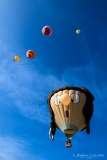 Tintin-6