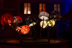 Laurent_festival-des-lumieres-Morat-2025-2